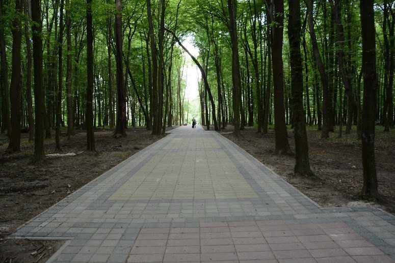 Детальніше про статтю Креативний проєкт реконструкції лісопарку Білогорща у Львові