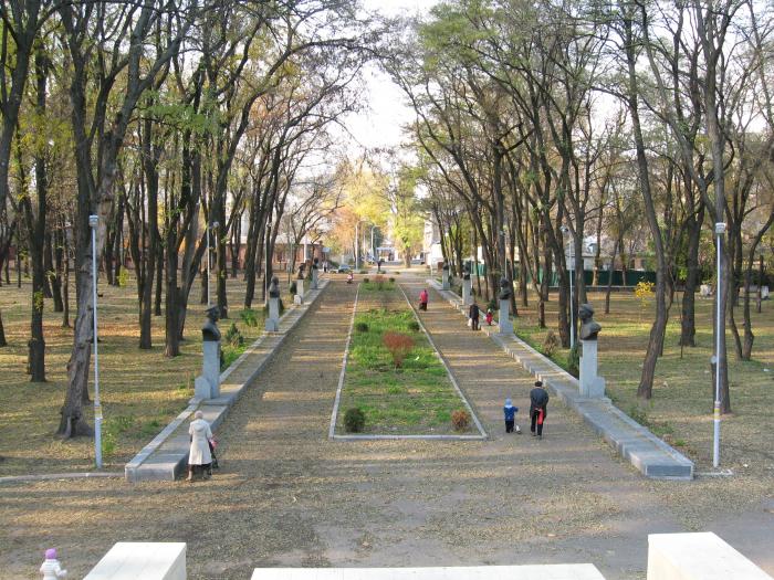 Детальніше про статтю В Дніпрі реконструюють Севастопольський парк